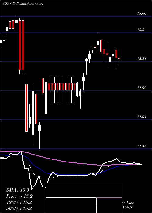  Daily chart GuggenheimTaxable