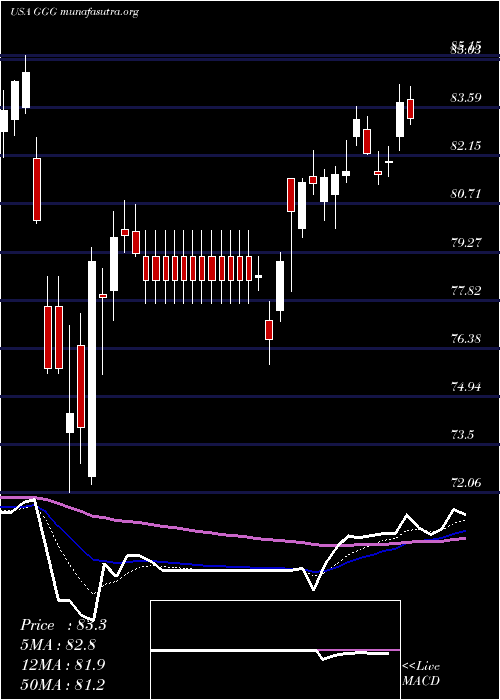  Daily chart GracoInc