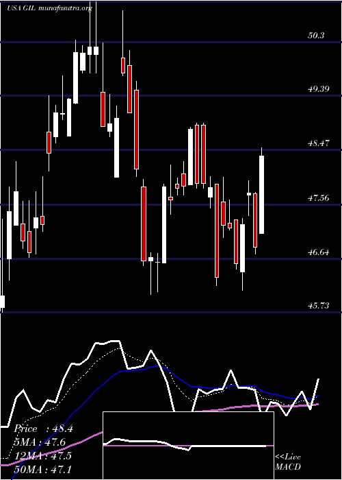  Daily chart GildanActivewear