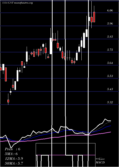  Daily chart GamcoNatural