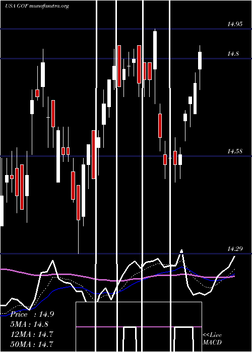  Daily chart GuggenheimStrategic