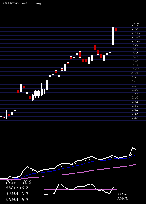  Daily chart HudbayMinerals