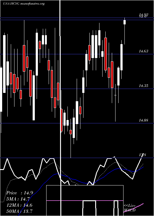  Daily chart HealthcareServices