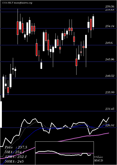 Daily chart HiltonWorldwide