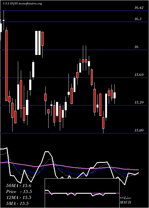  Daily chart TeklaHealthcare