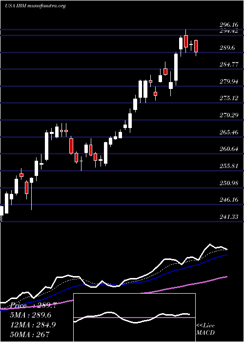  Daily chart InternationalBusiness