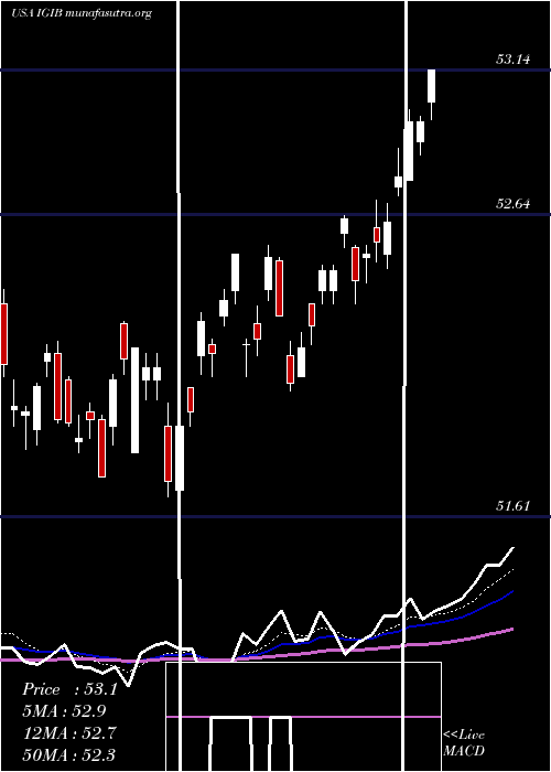  Daily chart IsharesIntermediate