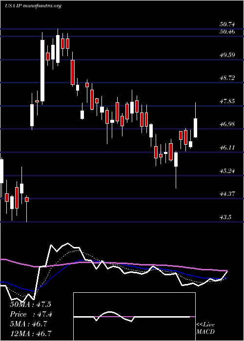  Daily chart InternationalPaper