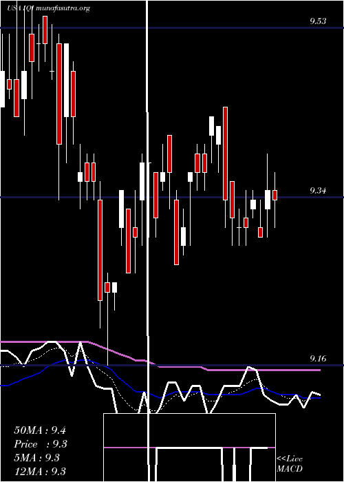  Daily chart InvescoQuality