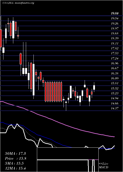  Daily chart JJill