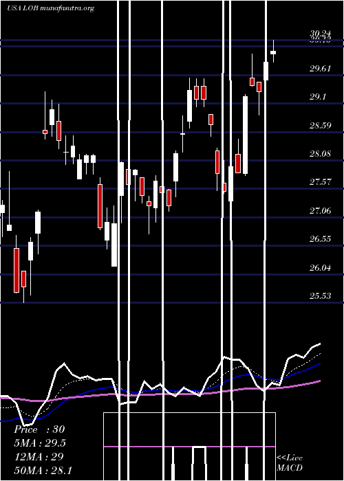  Daily chart LiveOak