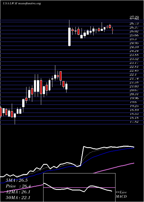  Daily chart LifewayFoods