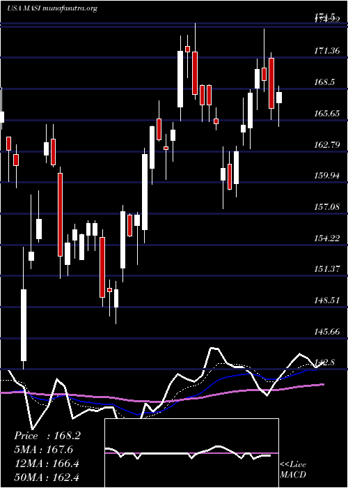  Daily chart MasimoCorporation