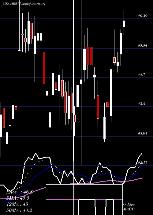  Daily chart MercantileBank