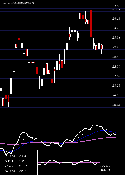  Daily chart MagnoliaOil