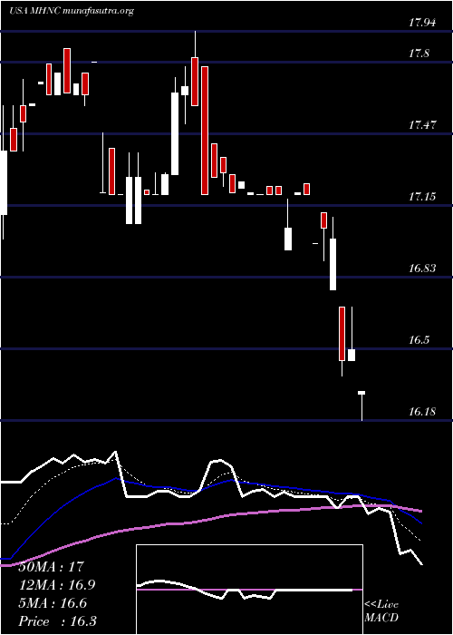  Daily chart MaidenHoldings