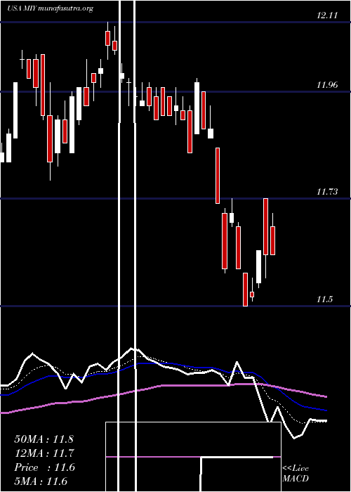  Daily chart BlackrockMuniyield