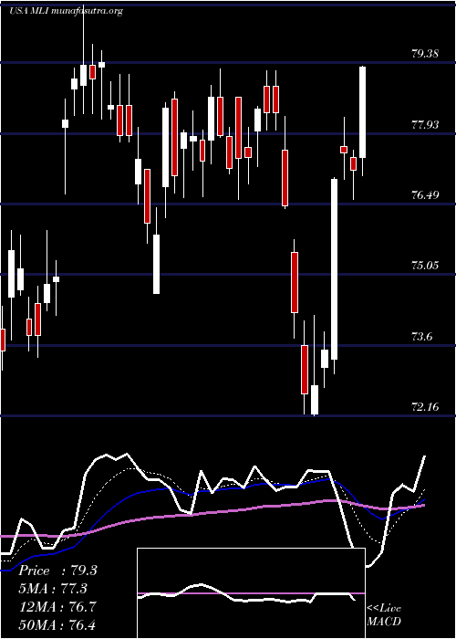  Daily chart MuellerIndustries