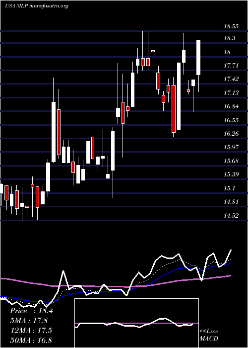  Daily chart MauiLand