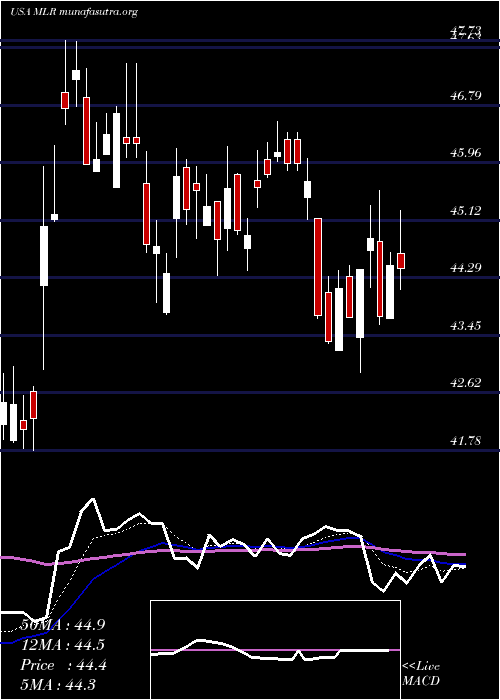  Daily chart MillerIndustries