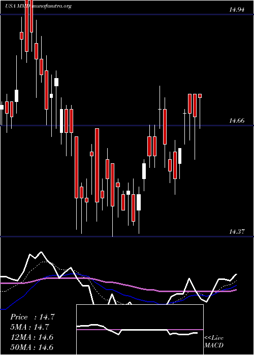  Daily chart MainstayMackay