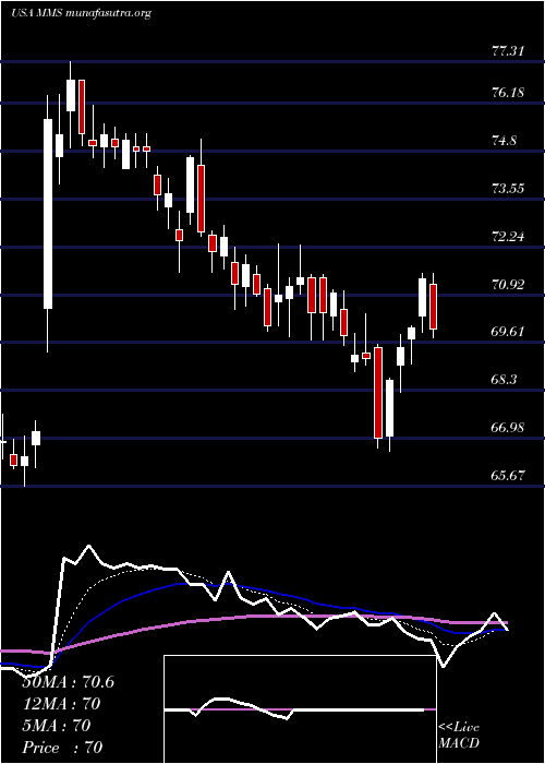  Daily chart MaximusInc
