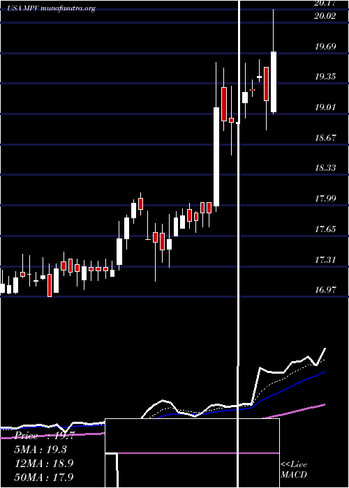  Daily chart BaringsParticipation