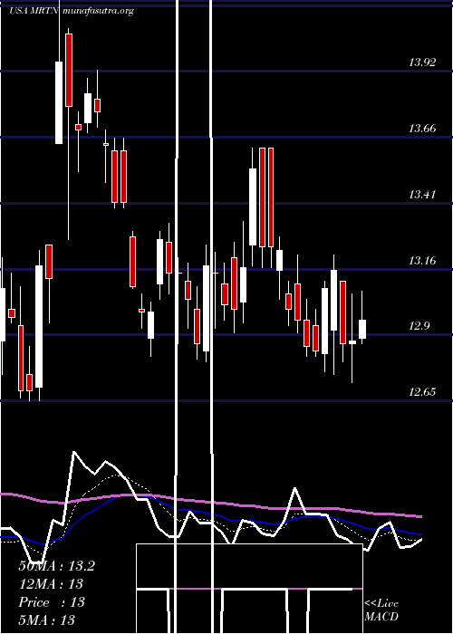  Daily chart MartenTransport