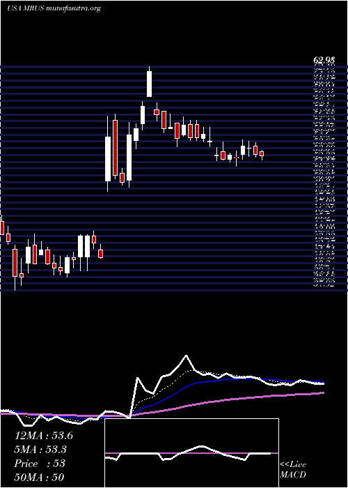  Daily chart MerusN