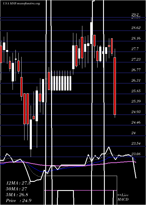  Daily chart MesabiTrust