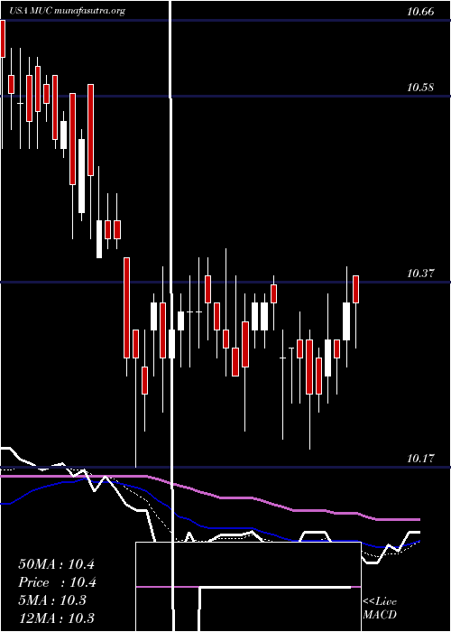  Daily chart BlackrockMuniholdings
