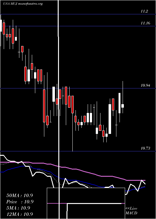  Daily chart BlackrockMuniholdings