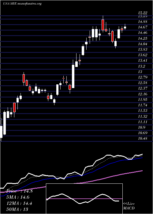  Daily chart MyersIndustries
