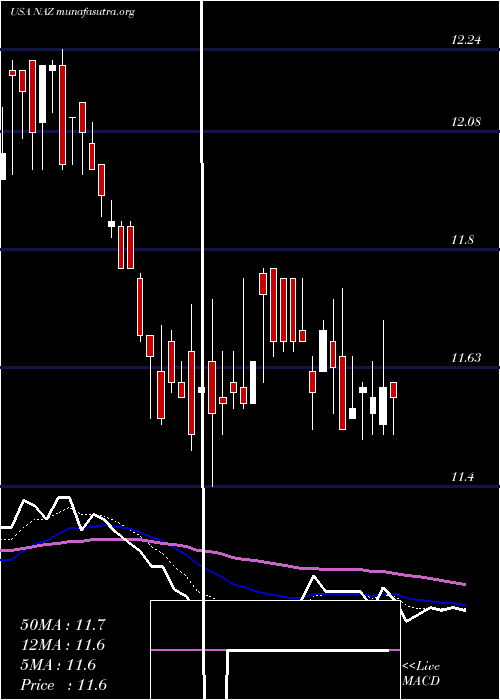  Daily chart NuveenArizona