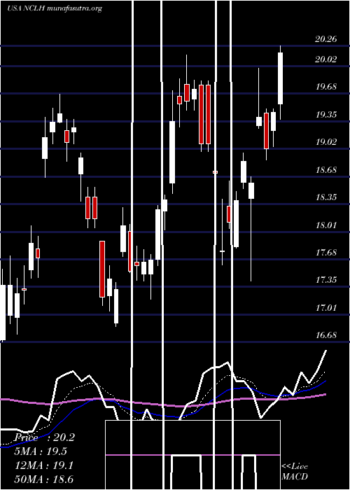  Daily chart NorwegianCruise