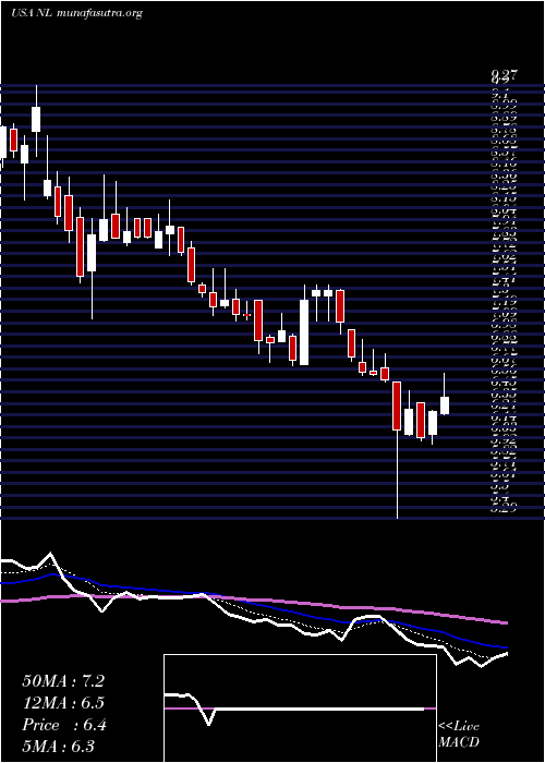  Daily chart NlIndustries