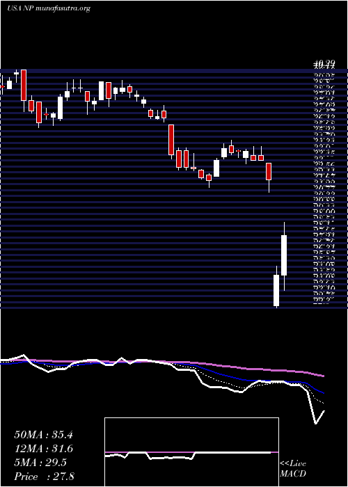  Daily chart NeenahInc