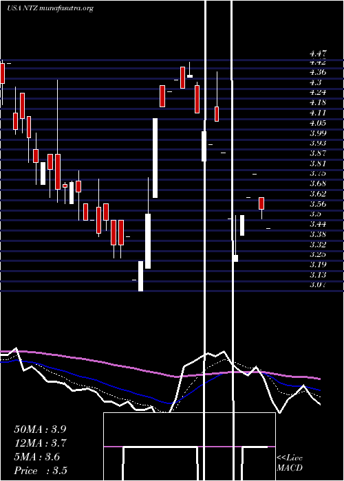  Daily chart NatuzziS