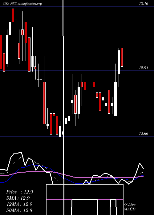  Daily chart NuveenInsured