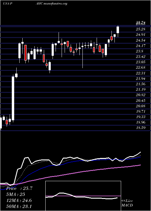  Daily chart PhibroAnimal