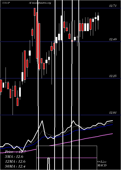  Daily chart WesternAsset