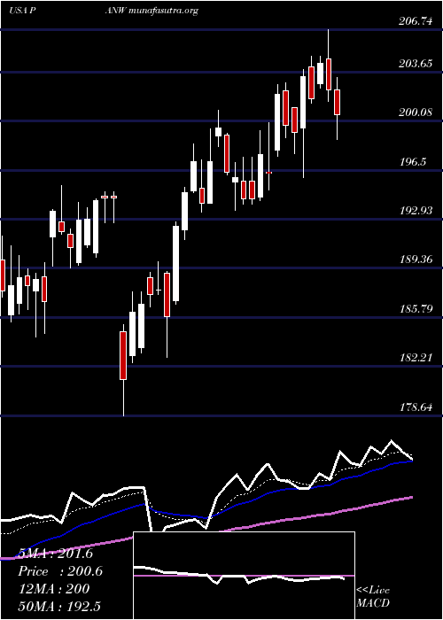  Daily chart PaloAlto