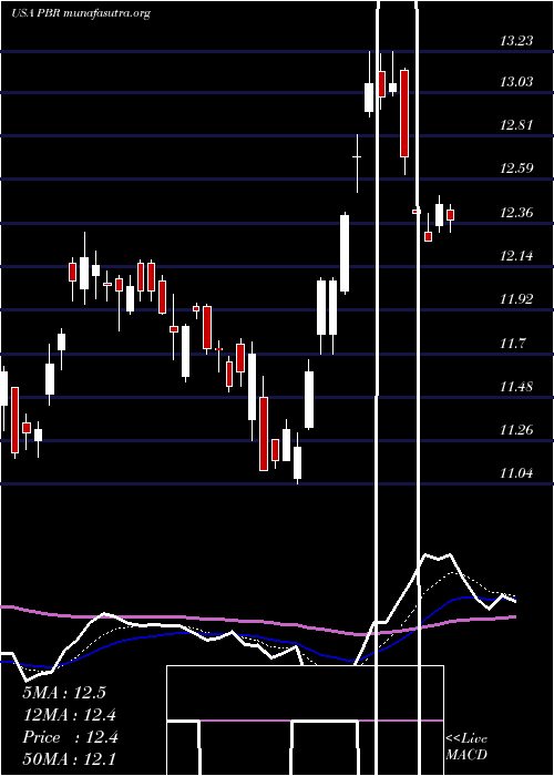  Daily chart PetroleoBrasileiro
