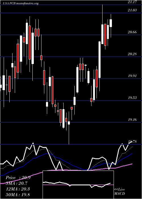  Daily chart PacificCity