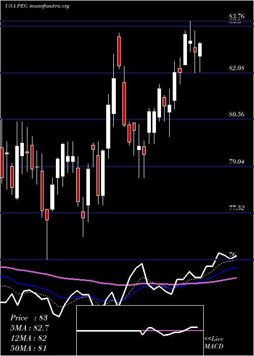  Daily chart PublicService