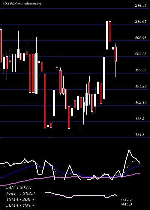  Daily chart PenumbraInc