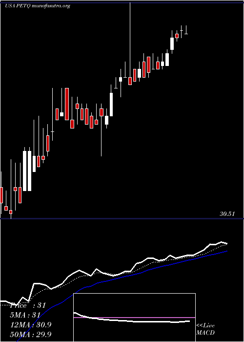  Daily chart PetiqInc