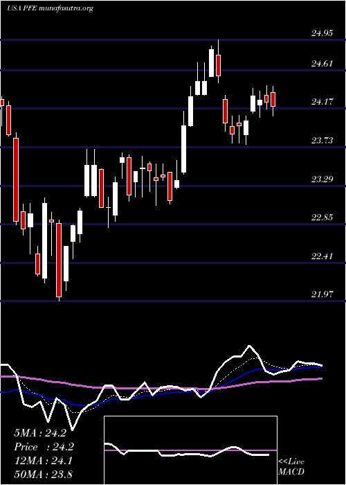  Daily chart PfizerInc