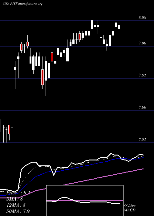  Daily chart PioneerHigh