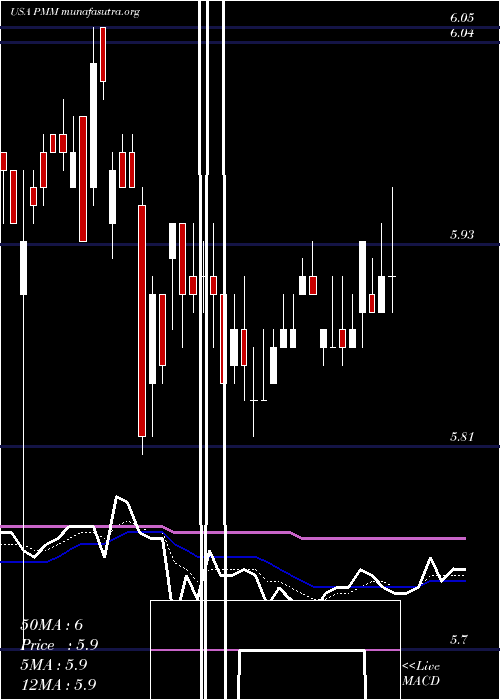  Daily chart PutnamManaged
